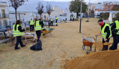 Comienzan los trabajos de replantación y adecuación de la Plaza de España por el programa ‘Alcalá Emplea en Verde+’