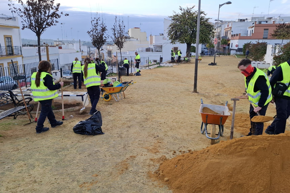 Comienzan los trabajos de replantación y adecuación de la Plaza de España por el programa ‘Alcalá Emplea en Verde+’
