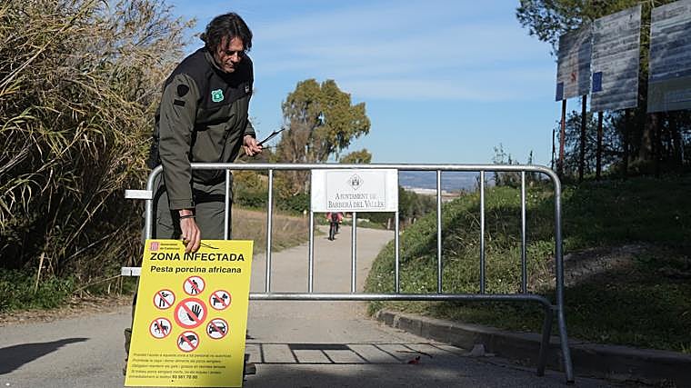 Señalización de una zona infectada en el entorno de Collserola (Barcelona),