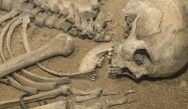 La insólita teoría que afirma que algo procedente del espacio exterior extinguió a los neandertales