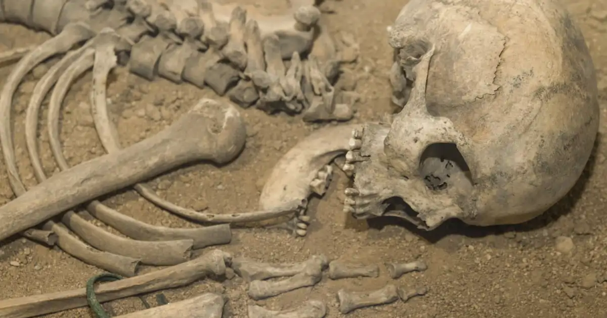 La insólita teoría que afirma que algo procedente del espacio exterior extinguió a los neandertales