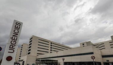 una mujer muere días después de recibir una brutal paliza de su pareja