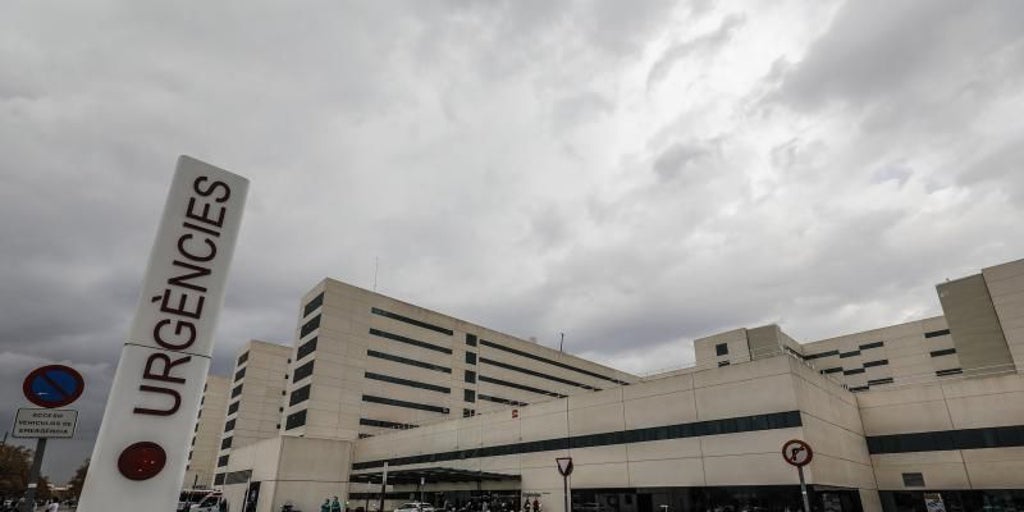 una mujer muere días después de recibir una brutal paliza de su pareja