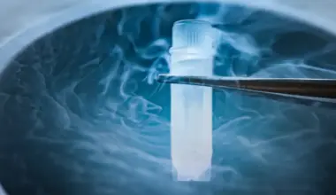 Los mayores avances científicos que podrían suceder en 2026 según National Geographic España