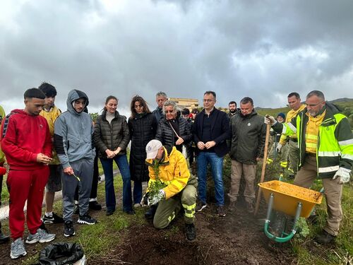 Santa Cruz inicia la renaturalización del Monte de Las Mesas con la plantación de 400 especies