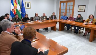La Comisión Especial de Pleno de Capitalidad conoce las líneas estratégica y principales contenidos del libro de candidatura de Jerez 2031