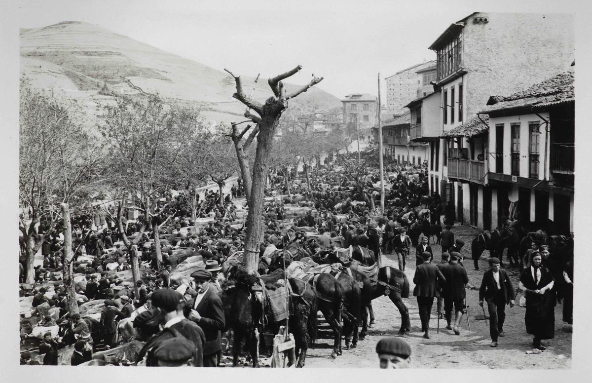 Vista general del ganado en la feria de La Cruz de Mayo.