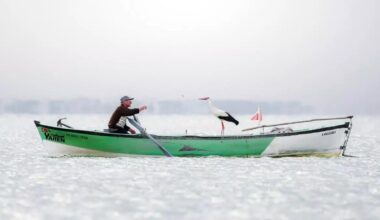 ‘Stork Yaren’, de Alper Tüydeş, primer premio de la trigésimocuarta edición del certamen fotográfico internacional de la Semana de la Cigüeña.