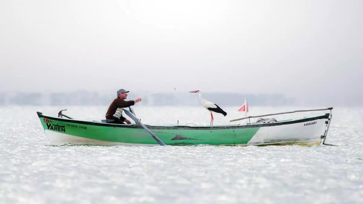 ‘Stork Yaren’, de Alper Tüydeş, primer premio de la trigésimocuarta edición del certamen fotográfico internacional de la Semana de la Cigüeña.