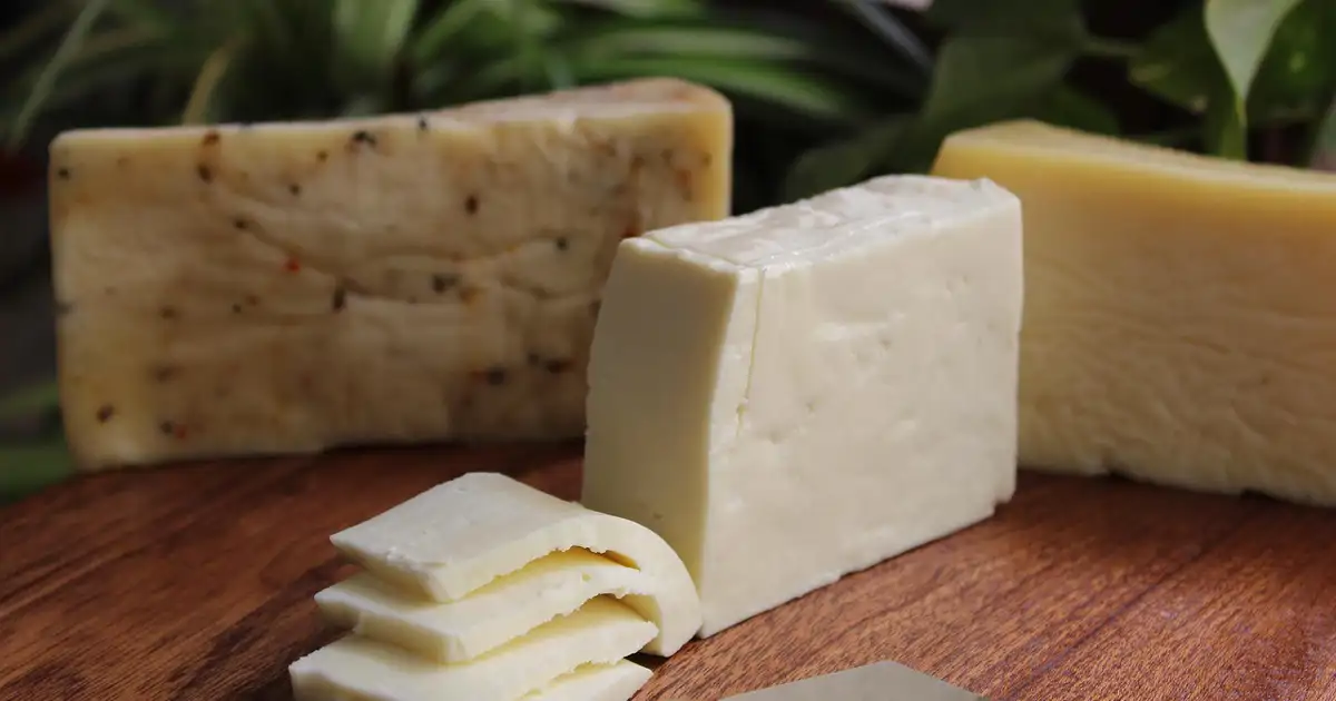 ¿Comer queso te protege de la demencia? El estudio que divide a la comunidad científica