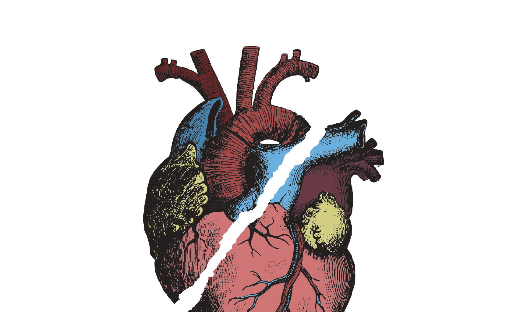 Cuando todo se ha derrumbado