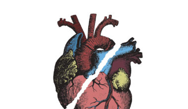 Cuando todo se ha derrumbado