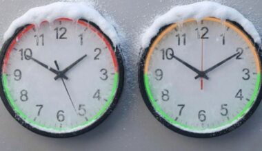 cuándo es más barata y cara en el mercado mayorista