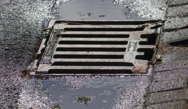 Pamplona ha realizado ya cerca de 3.200 actuaciones para controlar la población de ratas en el sistema de alcantarillado