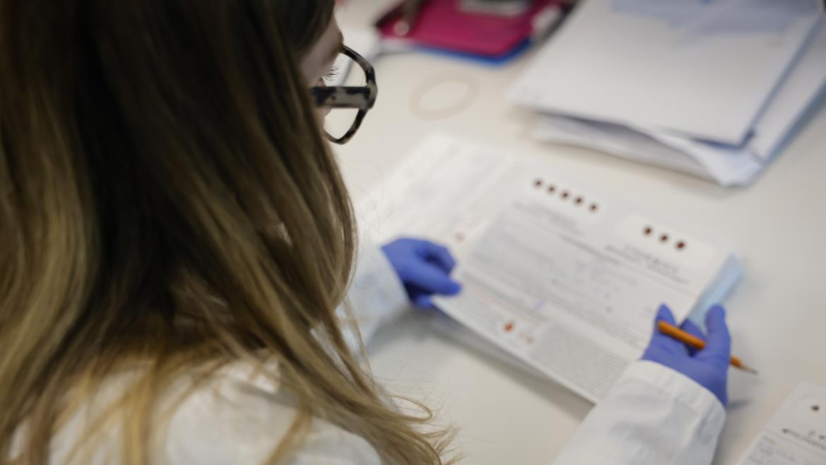 Ayudas César Nombela