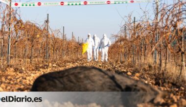 Los primeros análisis descartan el laboratorio de Barcelona como origen del brote de peste porcina