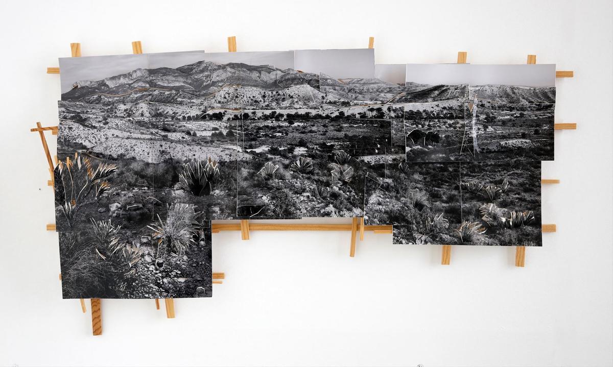 Pieza de la exposición "Deconstrucción natural"