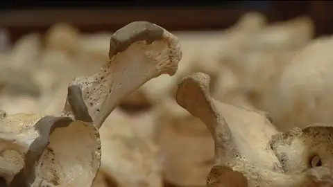 Efemérides de hoy 4 de diciembre de 2025: ¿Qué pasó el 4 de diciembre?