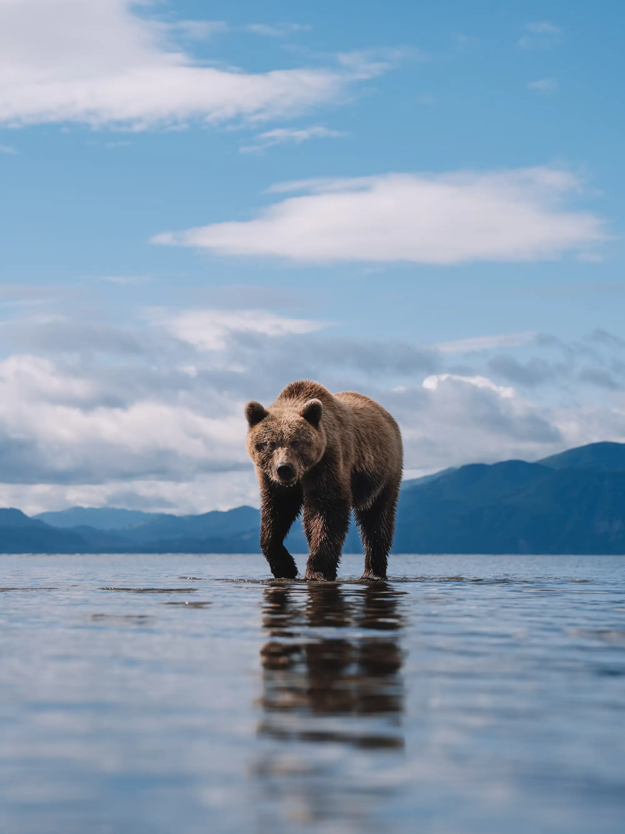 El encuentro más cercano