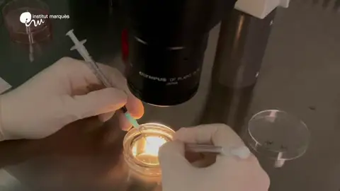 Embriones humanos sintéticos