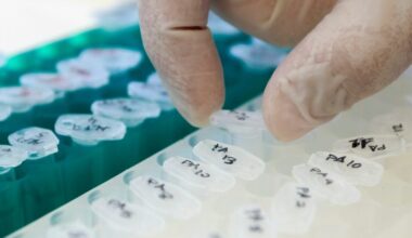 primer-ensayo-clínico-evaluación-acelerada