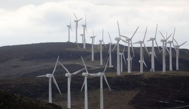 El viento tumba el precio de la luz pero el consumidor teme un alza en la factura para 2026 por los costes fijos