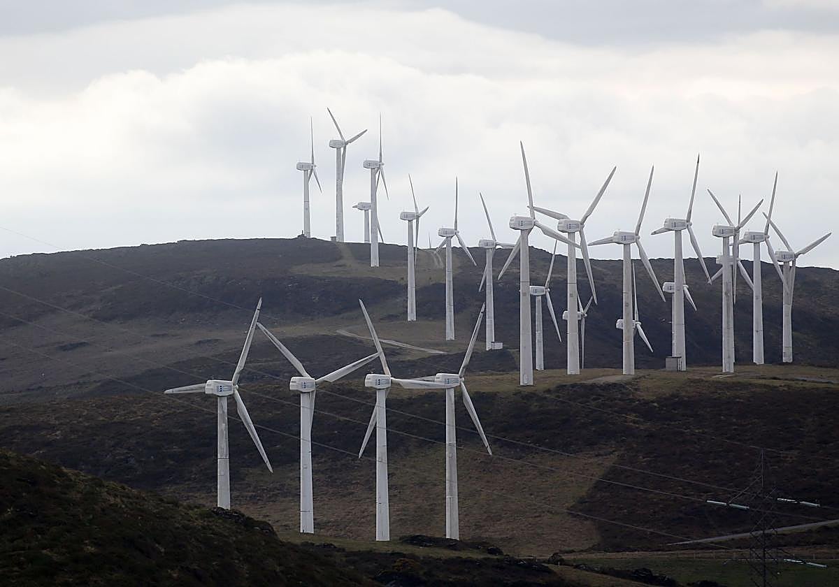 El viento tumba el precio de la luz pero el consumidor teme un alza en la factura para 2026 por los costes fijos