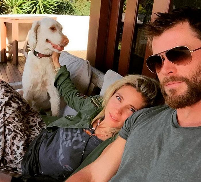 elsa pataky perro cordon1