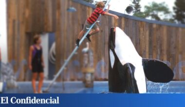 su mensaje ecológico marcó a una generación