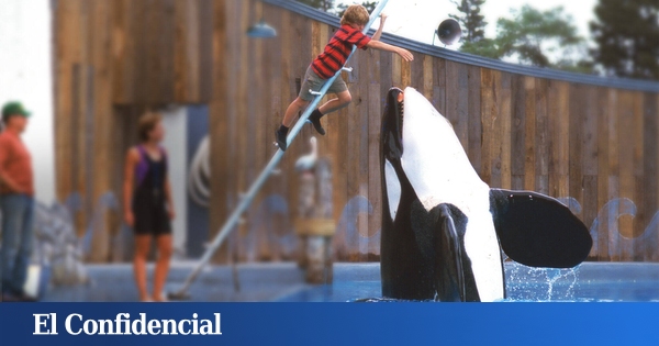 su mensaje ecológico marcó a una generación