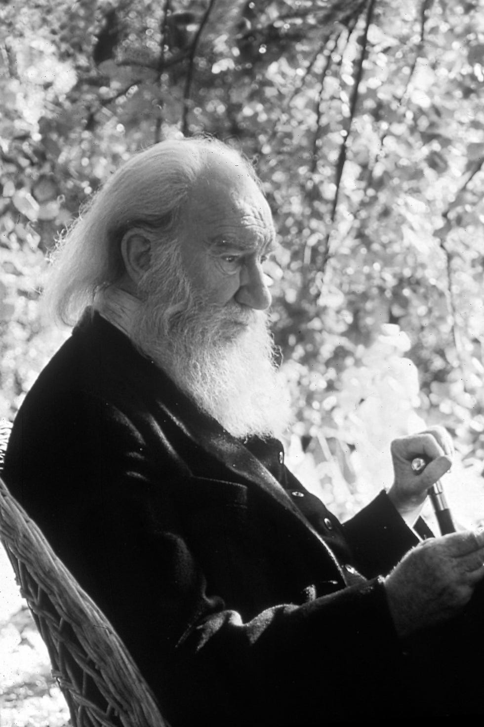 fernando fernan gomez