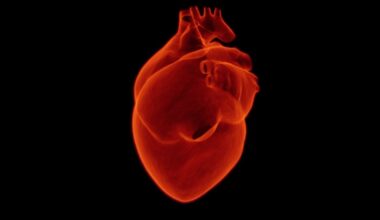 Un fármaco experimental que repara el ADN inaugura una nueva clase de terapias regenerativas