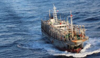 Estrategia para el fortalecimiento de la milla 200