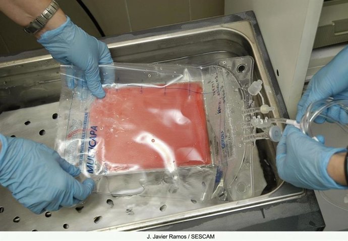 Archivo - Donación médula