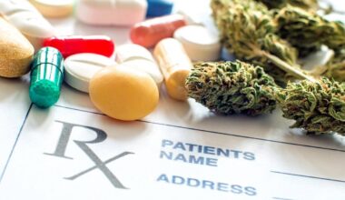 ¿En qué dolencias funciona el cannabis medicinal y cuáles no? La revisión 2500 estudios lo aclara (y no es lo que crees)