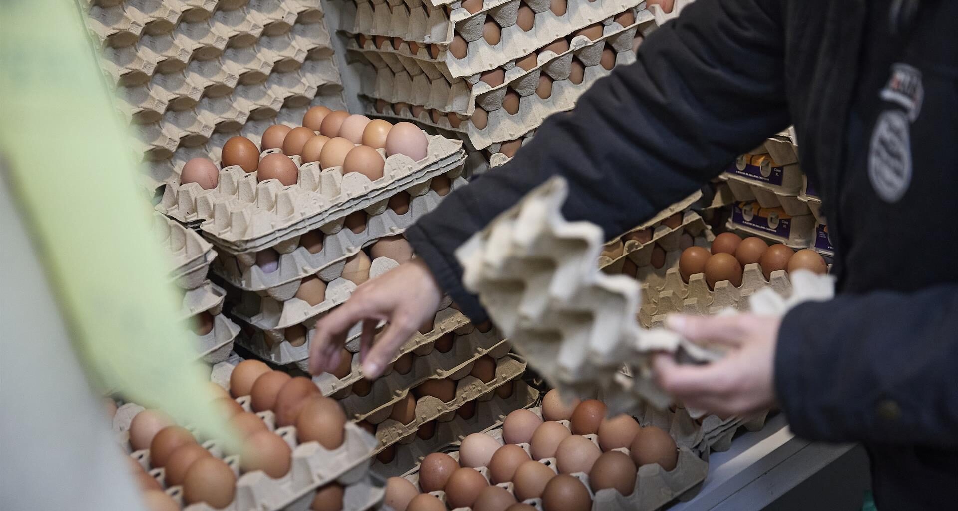 Huevos, café, carne de vacuno y chocolate encabezan las fuertes subidas de precios en lo que va de año
