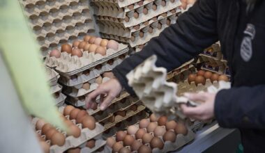 Huevos, café, carne de vacuno y chocolate encabezan las fuertes subidas de precios en lo que va de año