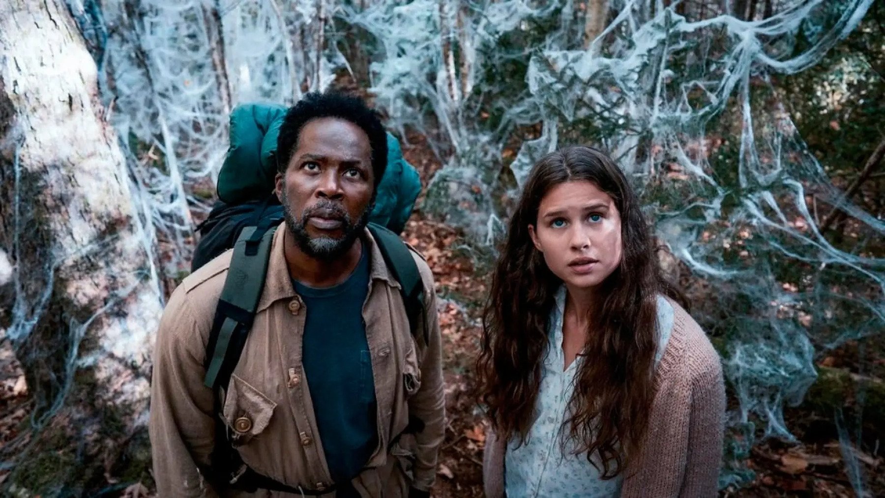 fue en la que se inspiró 'From'