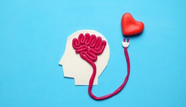 Fuster destaca la conexión entre riesgo cardiovascular y demencia