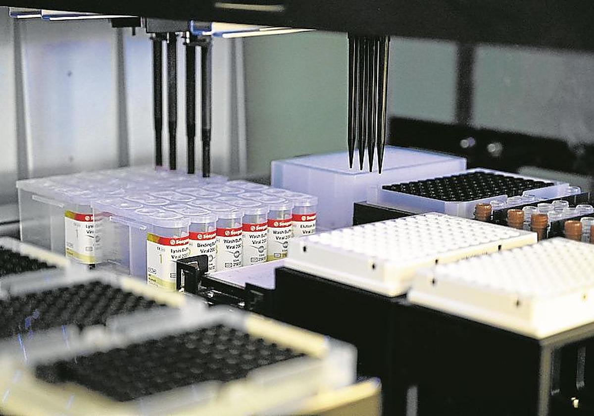 «Este año hemos tenido casos de gripe todos los meses»