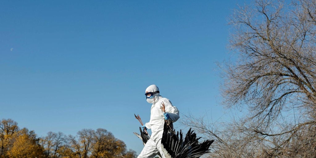 «La magnitud y el alcance no tienen precedentes»