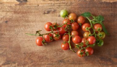 Desarrollan tomates con alto contenido de ácido lipoico, un potente antioxidante