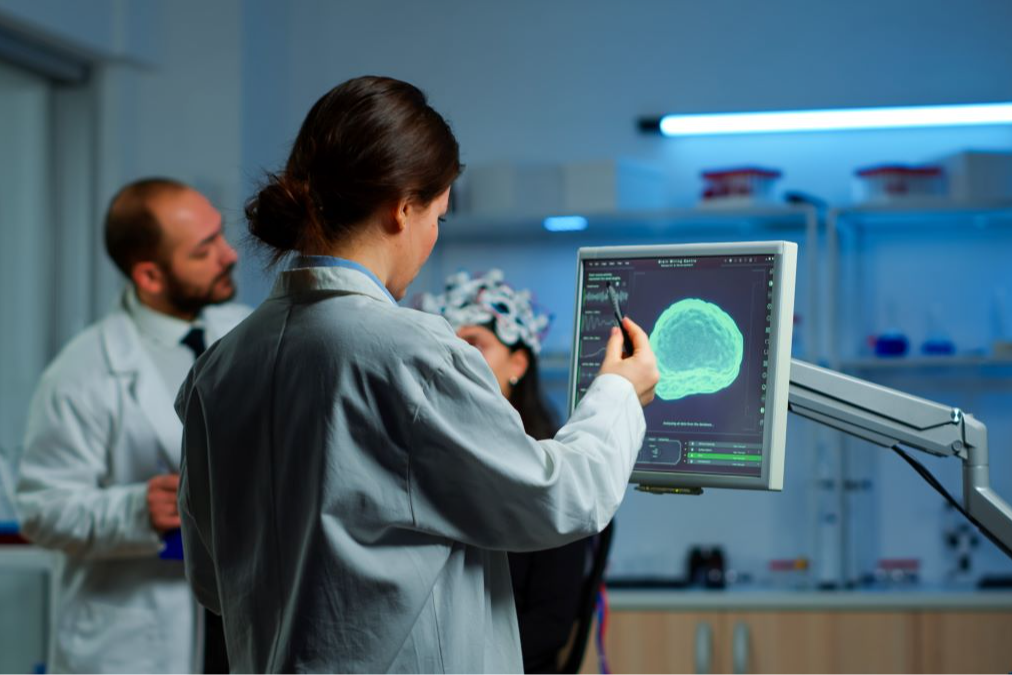 Limpiar el cerebro de células envejecidas podría ayudar a combatir la epilepsia