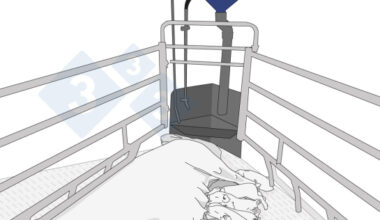 Infografía sobre la alimentación electrónica de precisión en cerdas - Artículos