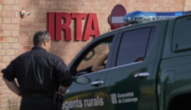 El laboratorio del CReSA-IRTA, en el foco, participa en la investigación sobre el origen del foco de peste porcina africana