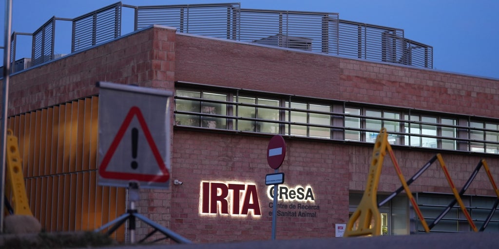 El laboratorio bajo sospecha de propagar la peste porcina investiga con la misma cepa causante del brote de Barcelona