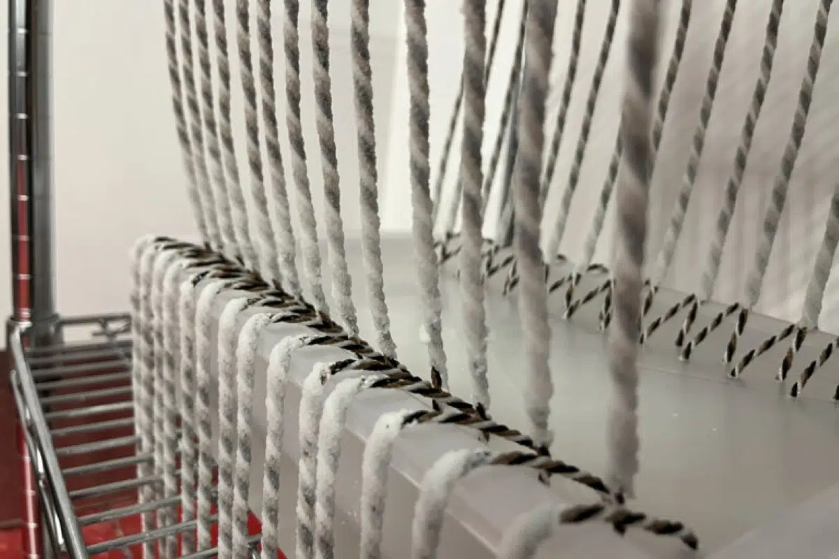 una técnica simple y de bajo costo que podría cambiar la lucha climática