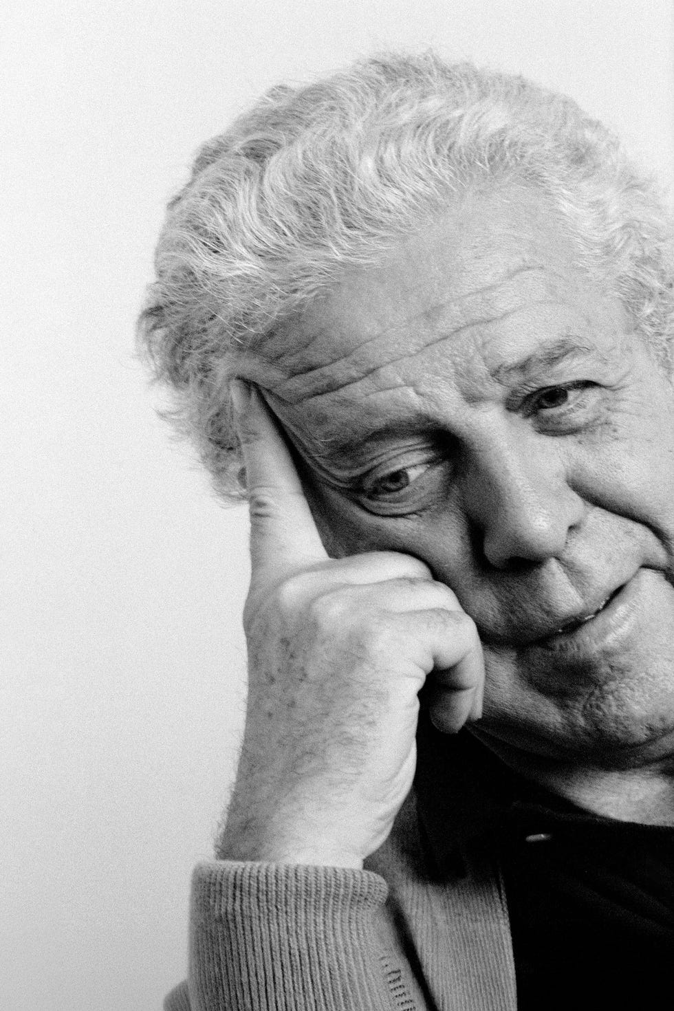 luis garcia berlanga