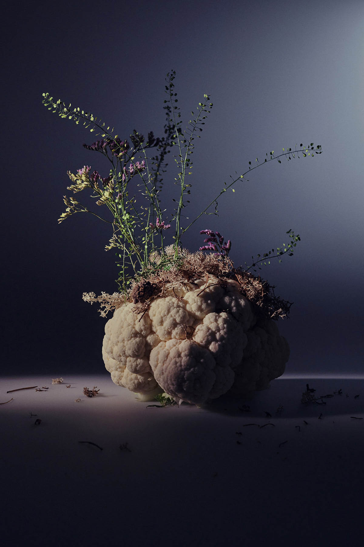 LUX ORO – Nando Esteva