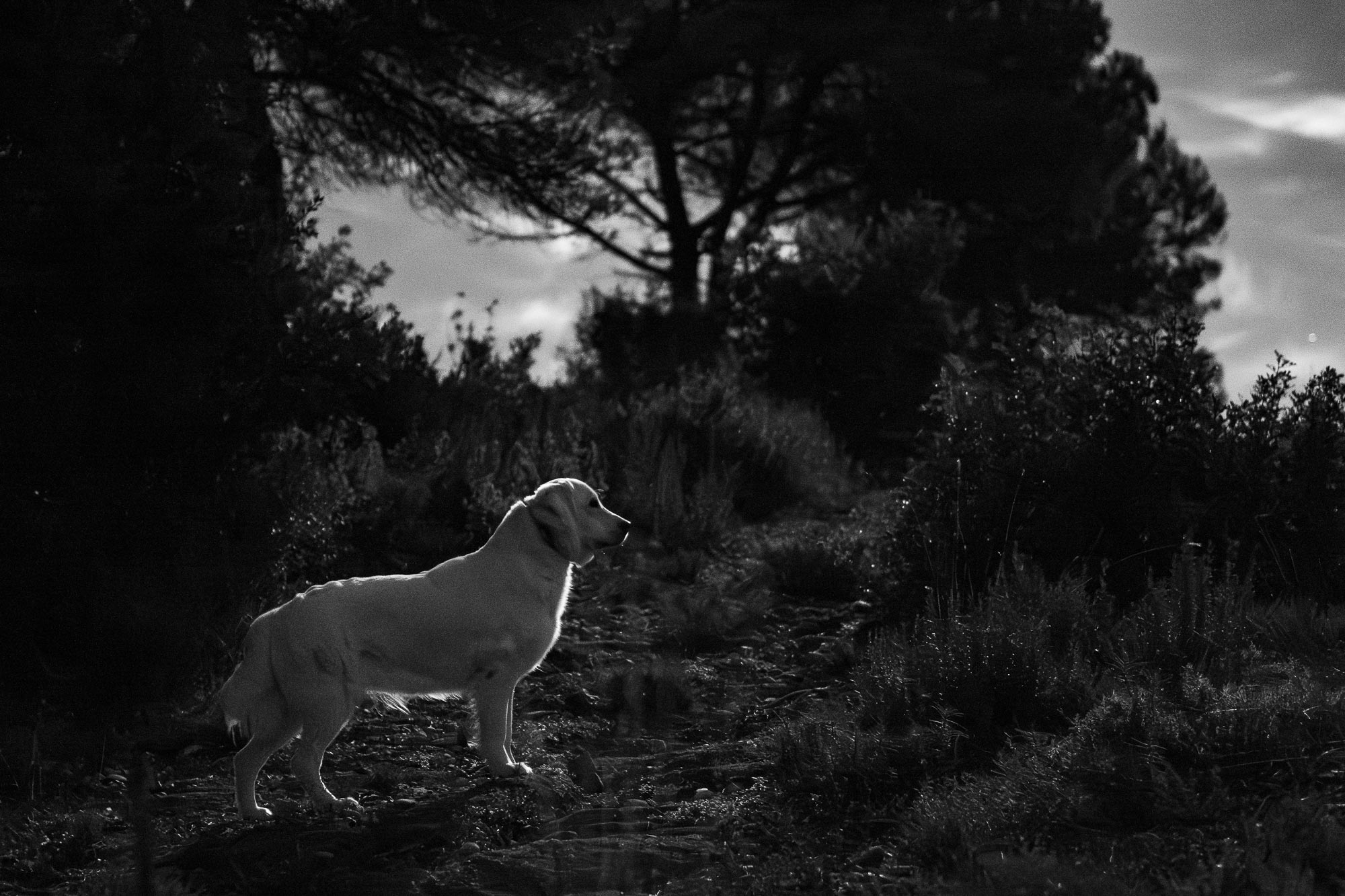 Manel_Soria_FF-MFT_07